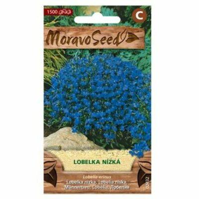 Lobelka modrá (MS) MoravoSeed
