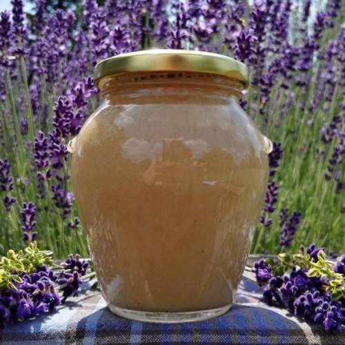 Med pastovaný zázvor 180g Cihlář med