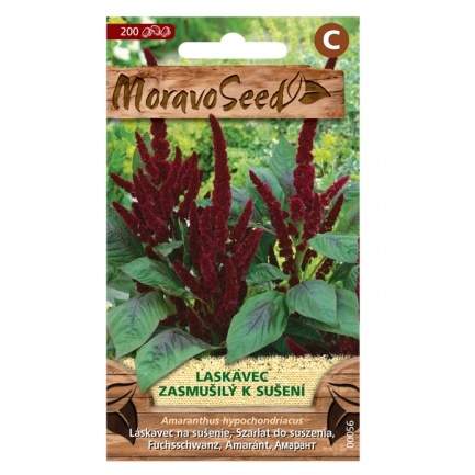 Laskavec amaranthus červený (MS) MoravoSeed