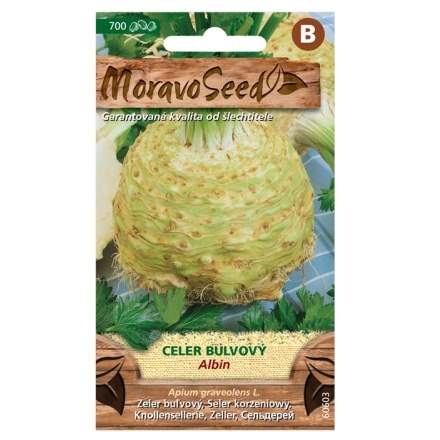Celer bulvový ALBIN (MS) MoravoSeed