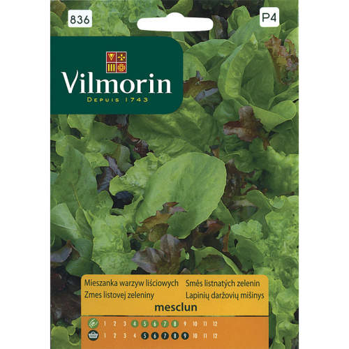 Směs listnatých zelenin Mesclun 1g Vilmorin