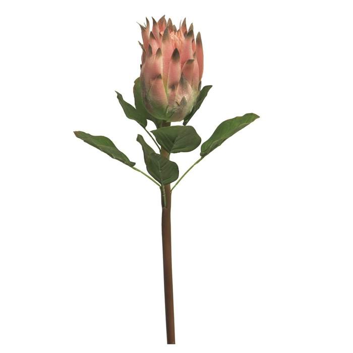 Protea řezaná umělá Nova Nature
