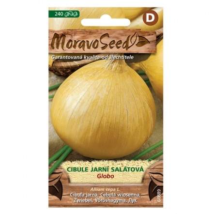 Cibule jarní salátová GLOBO (MS) MoravoSeed