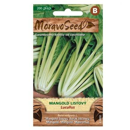 Mangold listový zelený LUCULUS (MS) MoravoSeed