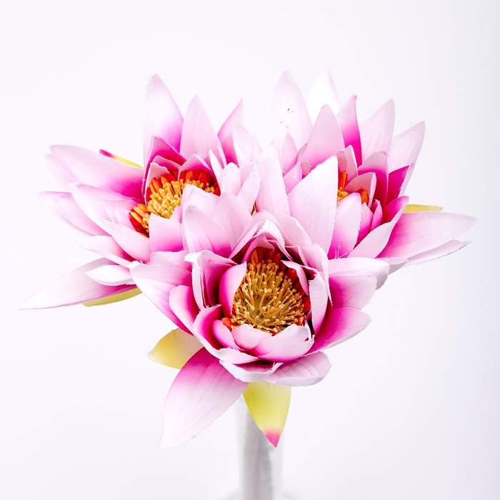 Lotus řezaný umělý růžový Nova Nature