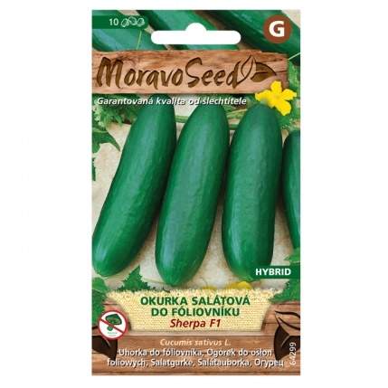 Okurka salátová SHERPA F1 fóliák (MS) MoravoSeed