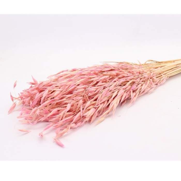 Sušina Oves barvený růžová 100-120g Heembloemex