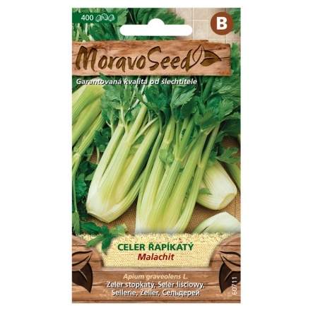 Celer řapíkatý MALACHIT (MS) MoravoSeed