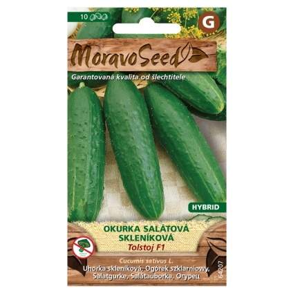Okurka salátová TOLSTOJ F1 skleníková (MS) MoravoSeed
