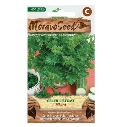 Celer listový PIKANT kadeřavý (MS) MoravoSeed