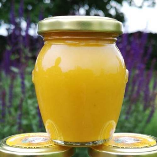 Med pastovaný kurkuma 400g Cihlář med