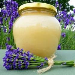 Med květový pastovaný 750g Cihlář med