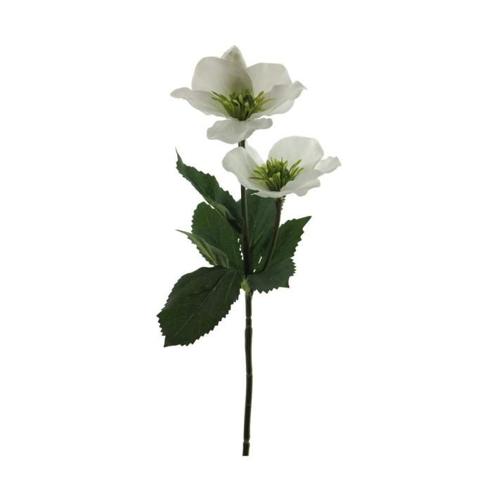Čemeřice řezaná umělá 2 květy krémová 34cm Nova Nature