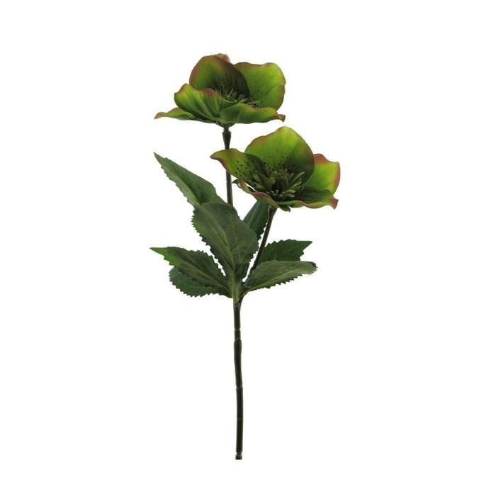 Čemeřice řezaná umělá 2 zelené květy 34cm Nova Nature